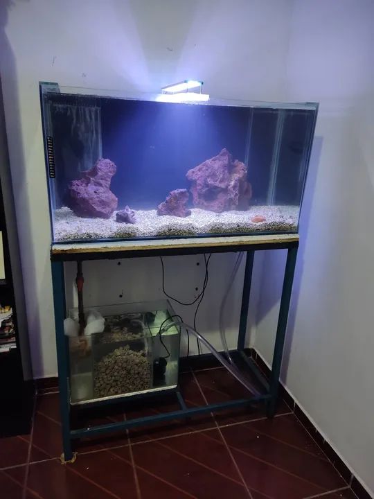 Aquário 200 litros completo  - Foto 6