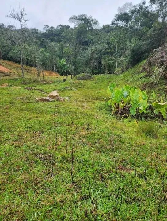 Sítio em Angelina/SC - Foto 4