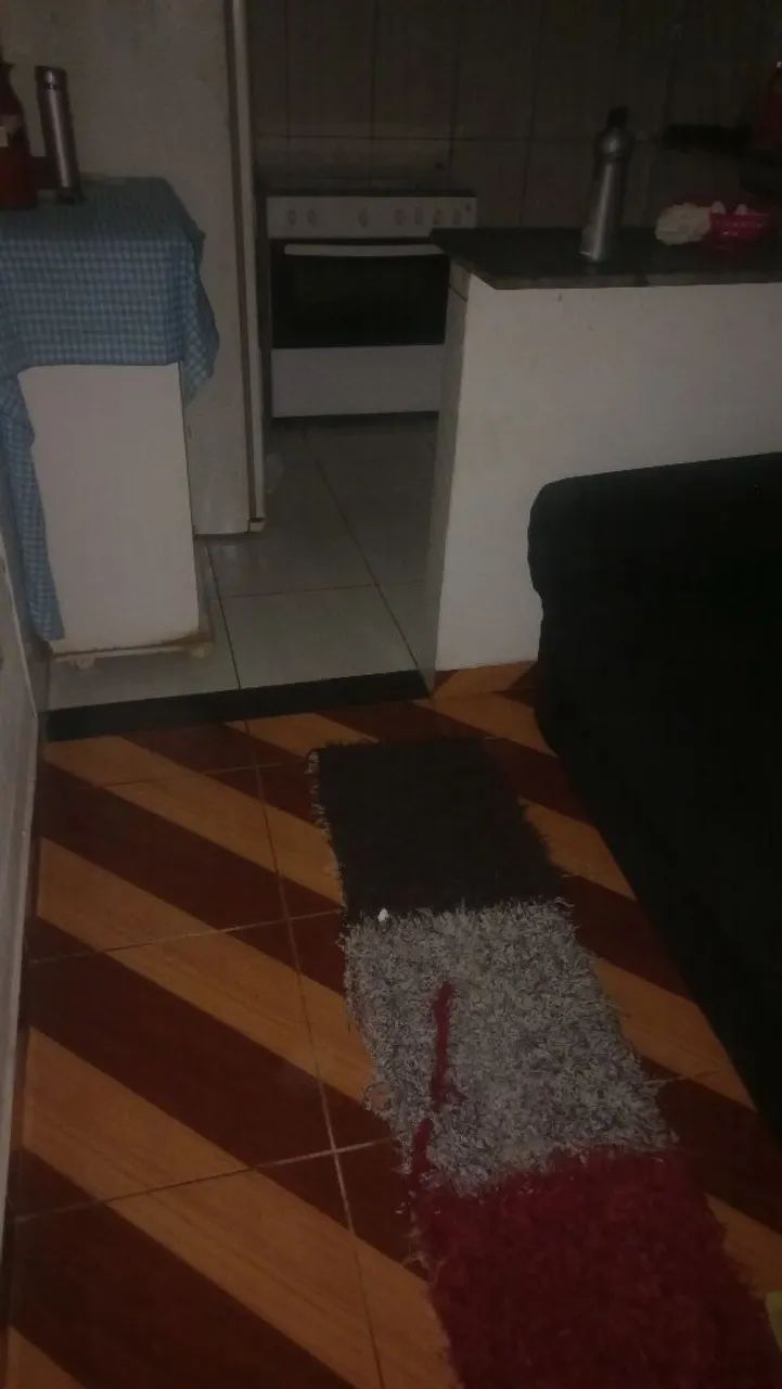 Faxina e organização 130