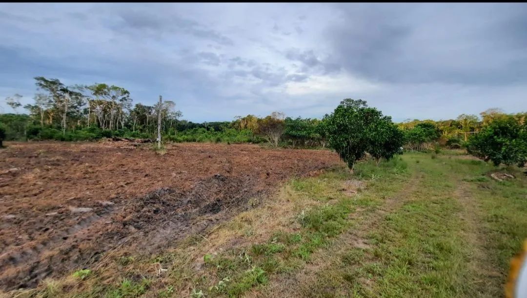 Sitio 70ha com Casa Simples e Terreno Amplo - Foto 4