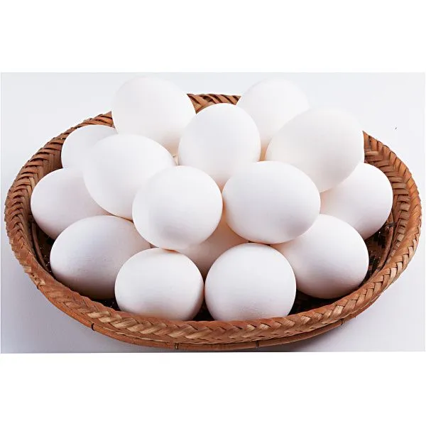 12     OVOS  Férteis