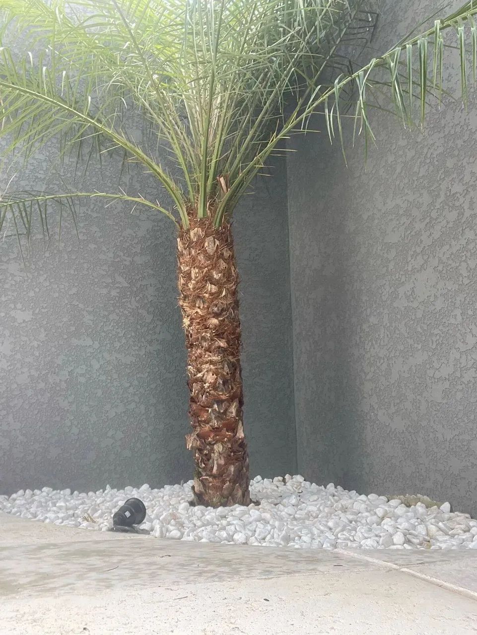 Casa térrea à venda em condomínio fechado Portal Lamis em Atibaia - Foto 4