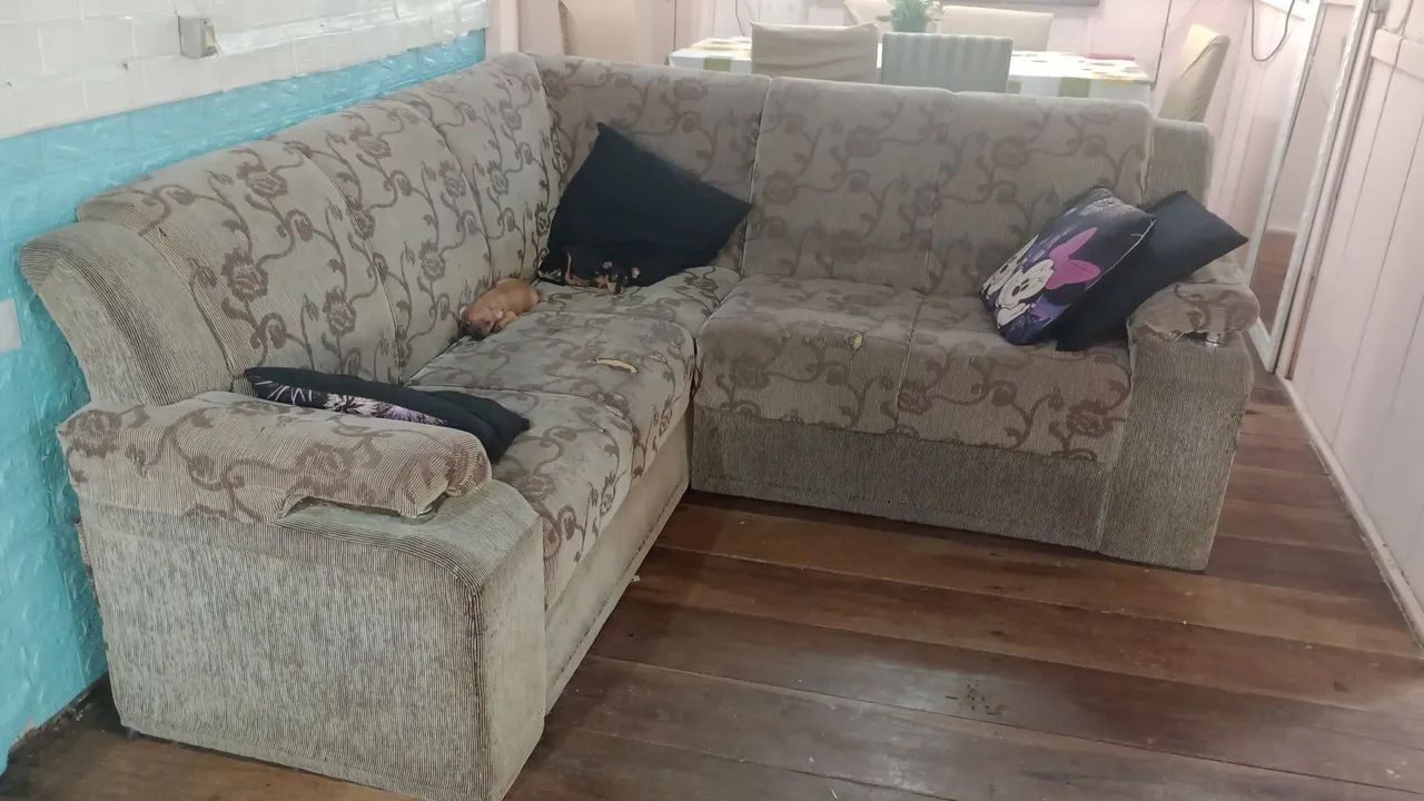 Doação  - Foto 4
