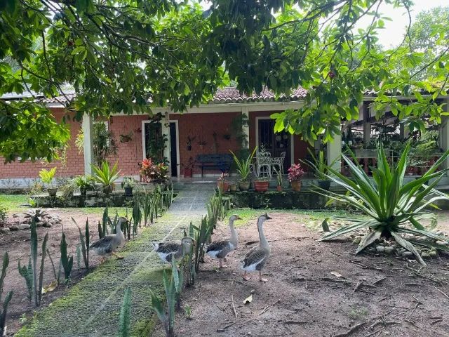 Chácara em Aldeia com 6300m2  - Foto 2