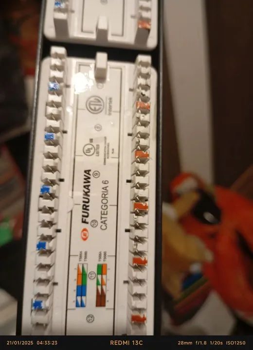 Conector RJ45 Furukawa Cat 6 - Novo - Foto 2