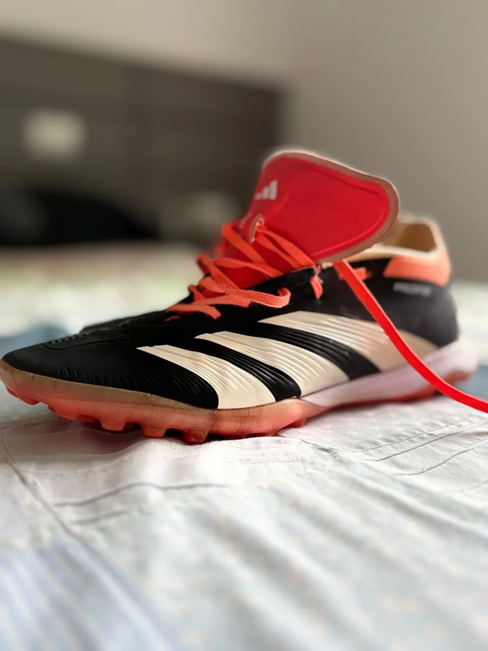 Chuteira Adidas Predator