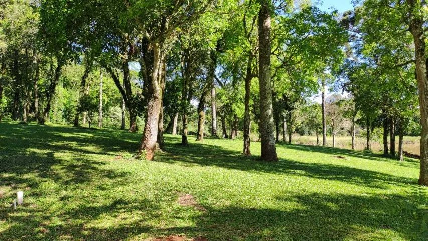 Terreno com 1.000 m² no Guatapará - Foto 5
