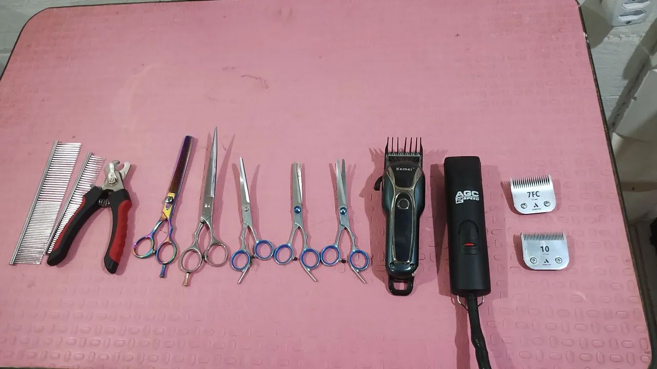 Banho e tosa equipamentos - Foto 3