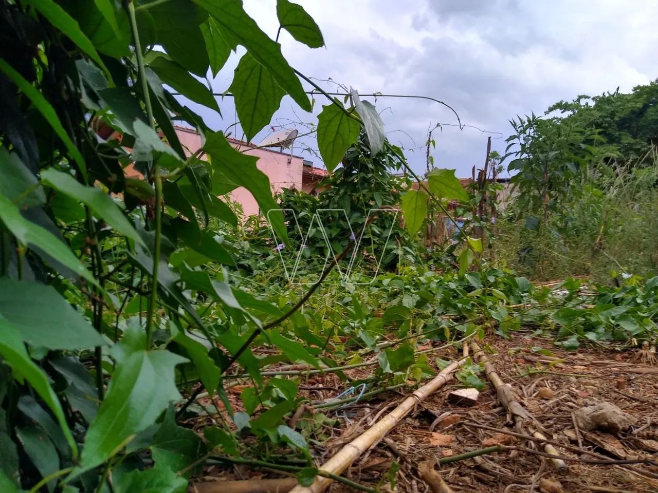 terreno - Sousas - Campinas - Foto 2