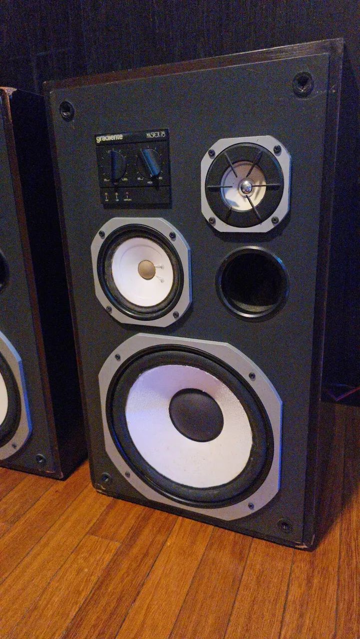 Par de Caixas Acústicas Gradiente Master 78