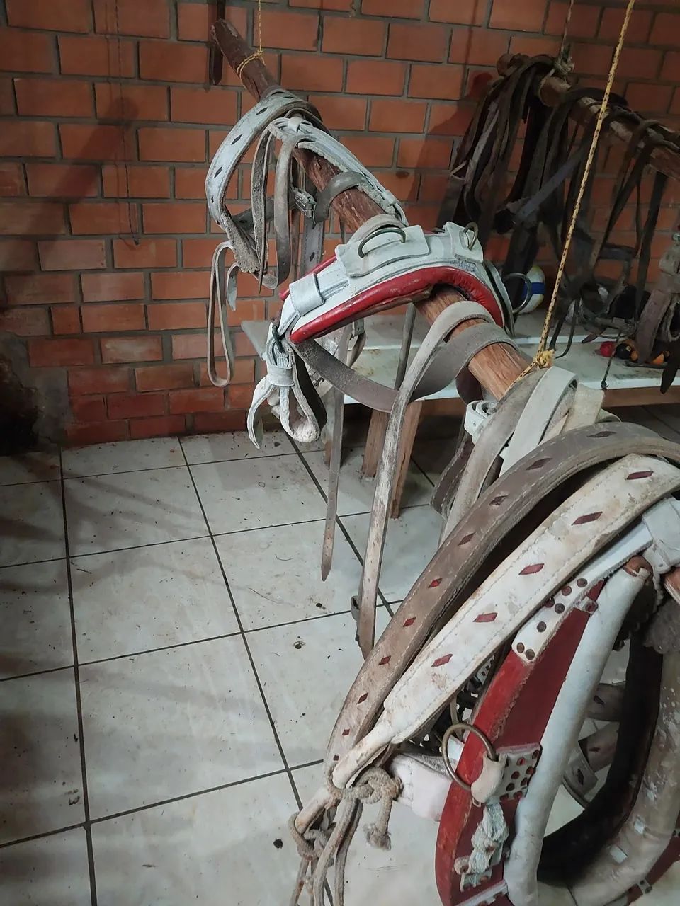 Correama da fazenda  - Foto 2