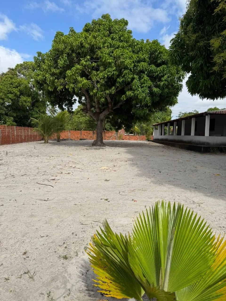 SITIO PARA CONFRATERNIZAR  - Foto 4