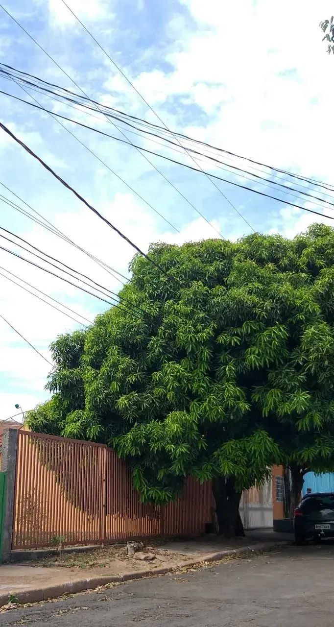 Terreno região do CPA III
