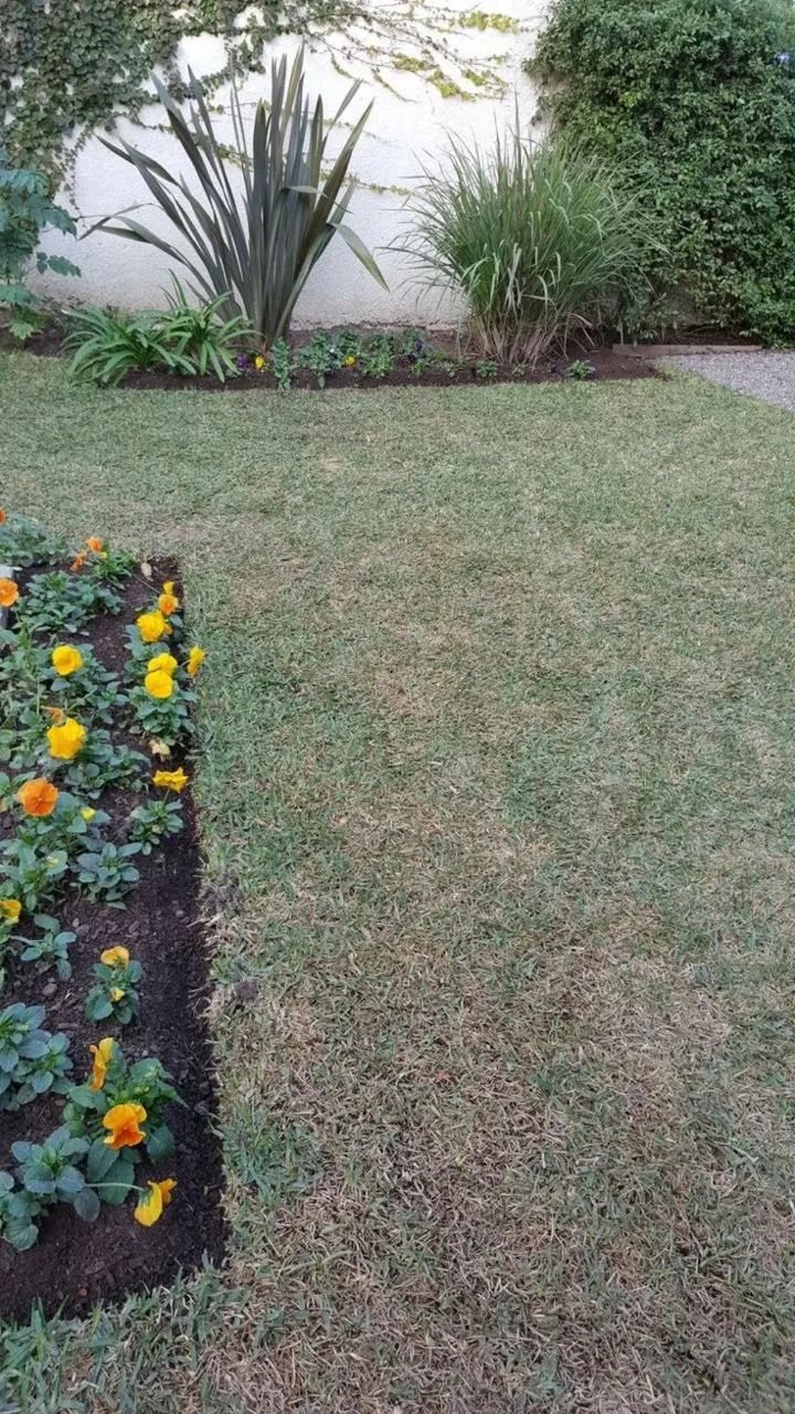 Jardineiro ( Samuel ) - Foto 2