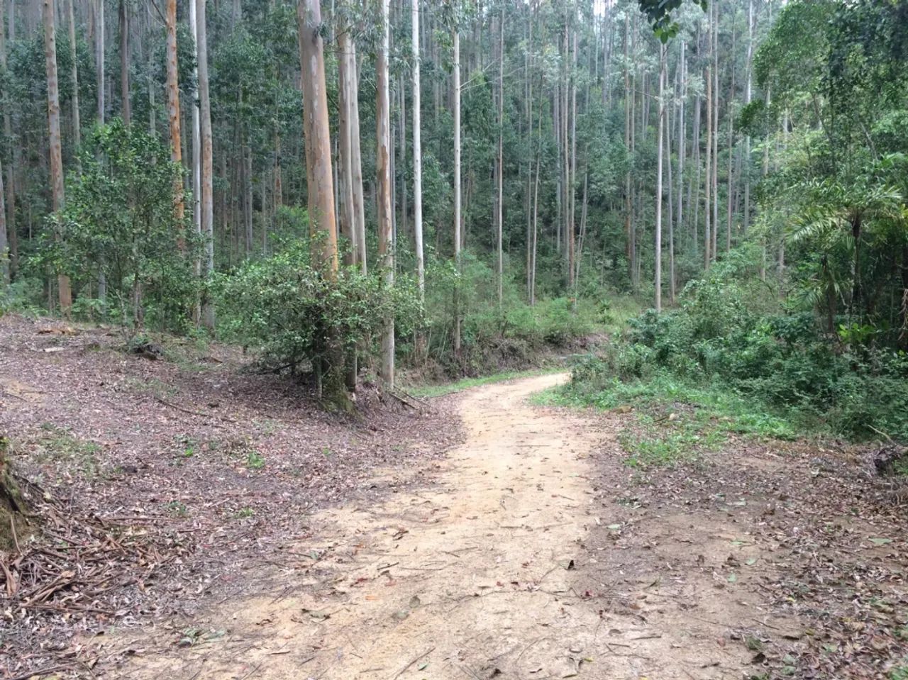 Sítio com 10 Hectares de Natureza e Tranquilidade - Foto 4