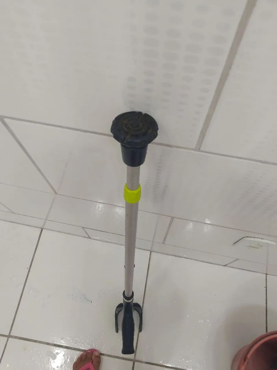 Moleta de pessoas com dificuldade de andar 