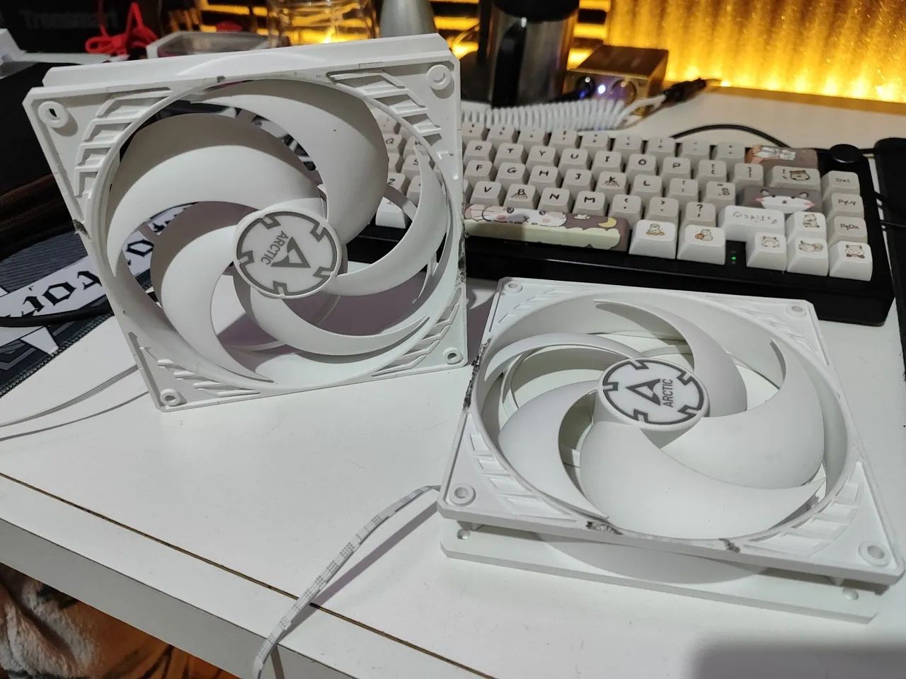 Fans arctic p14 