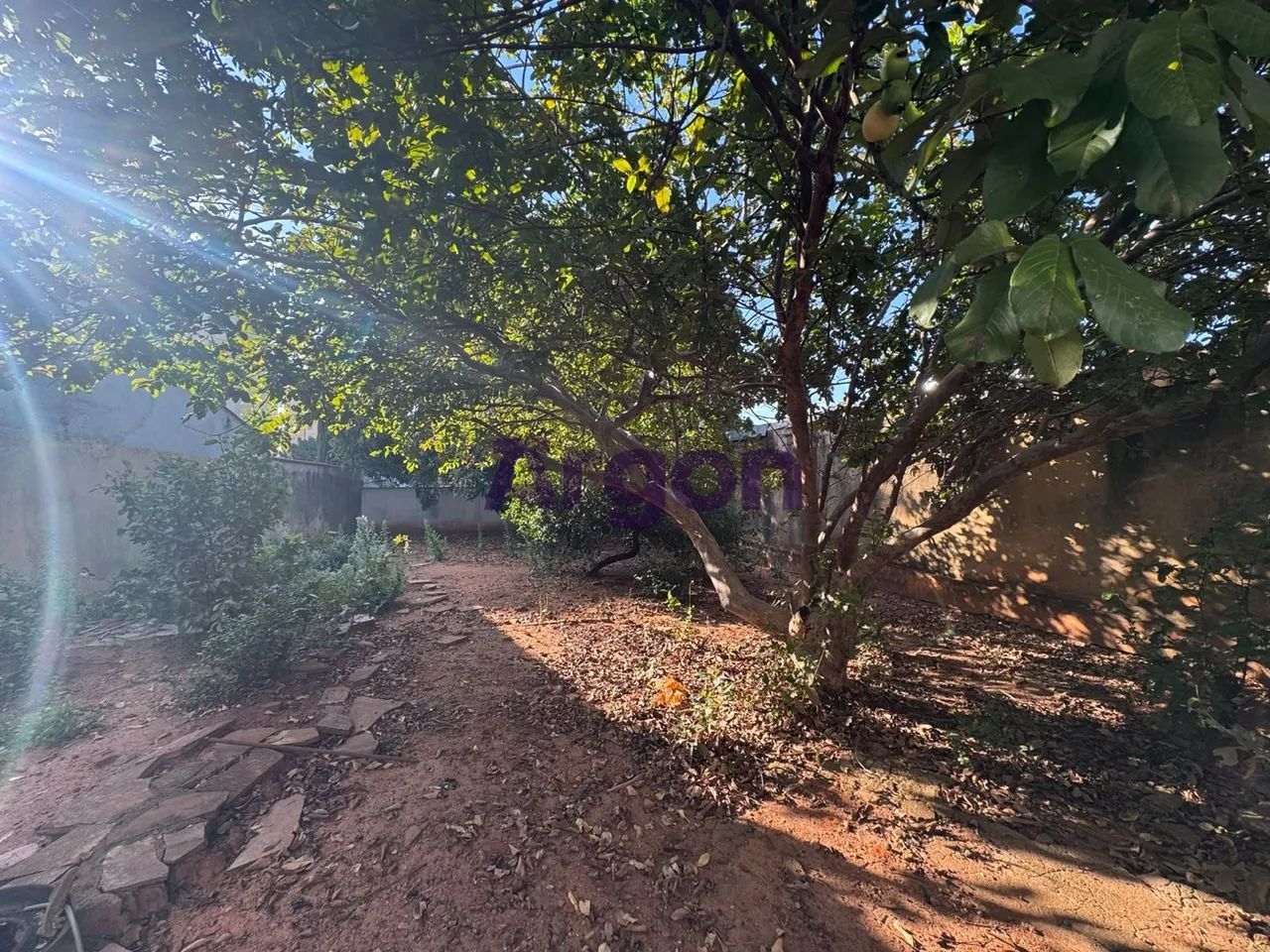 Lote | Venda | Vila São Luiz - Foto 4
