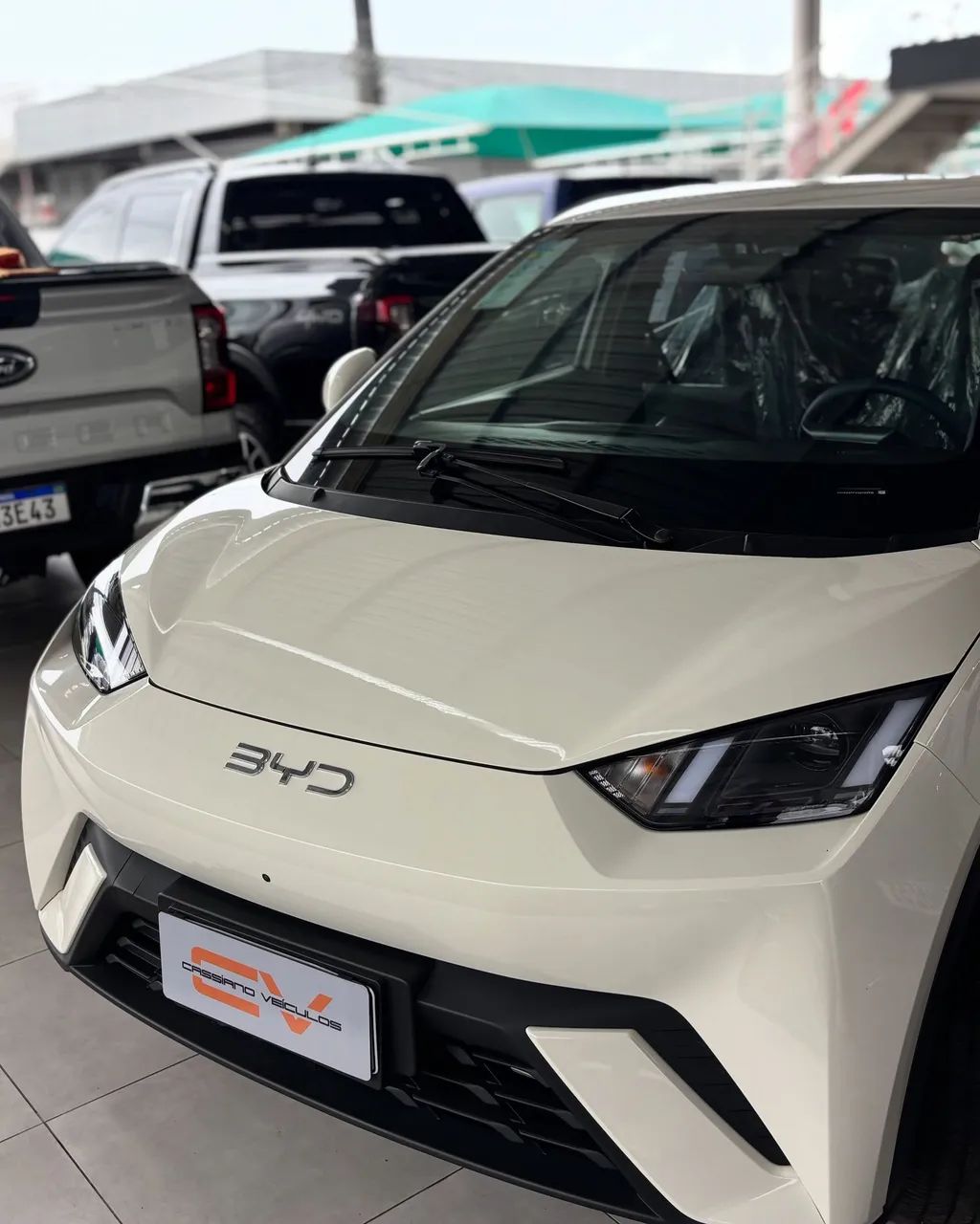 BYD Dolphin GS (Elétrico) 2027 - Foto 4