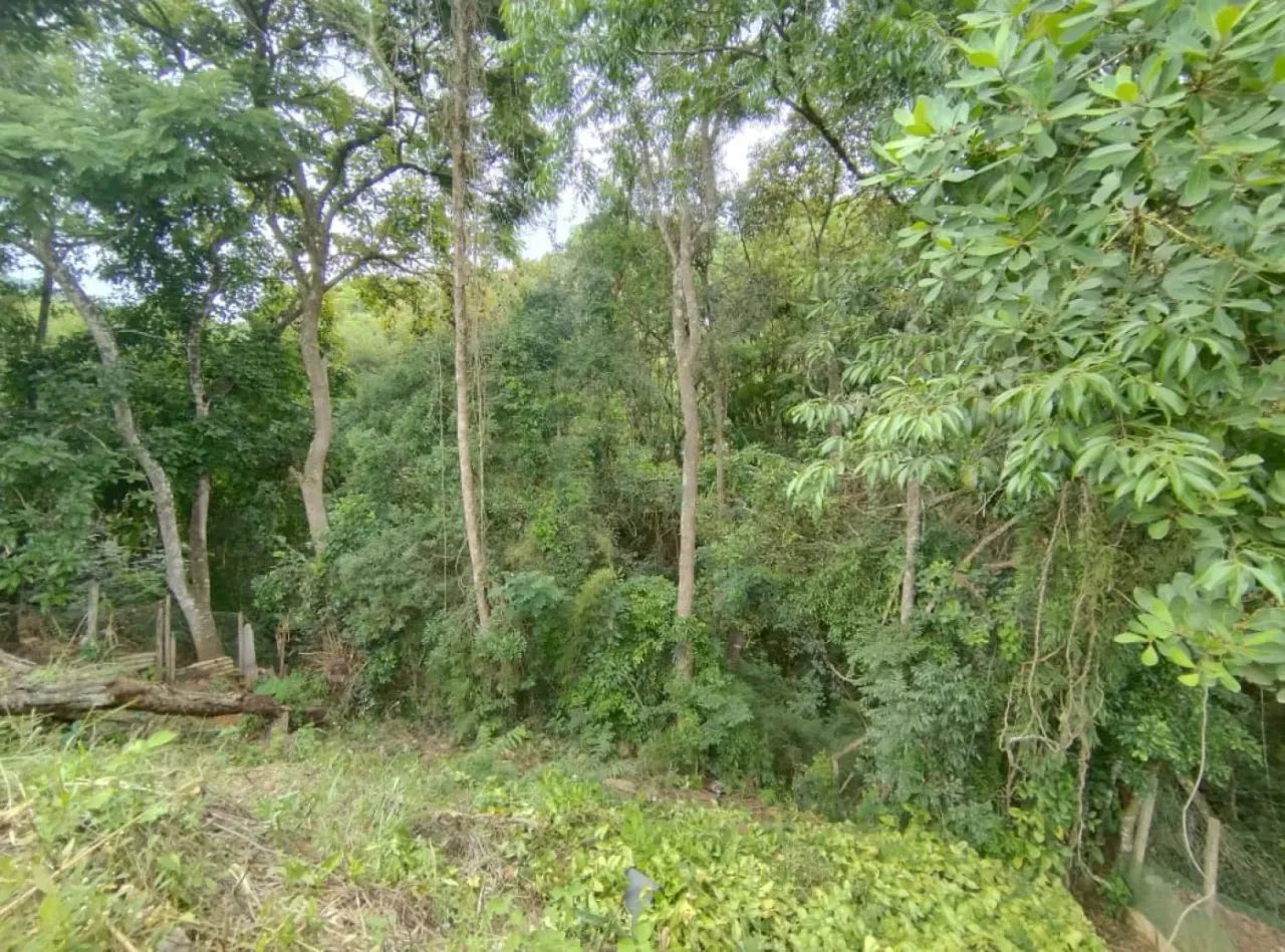 Terrenos Padrão em Caldas - Foto 5