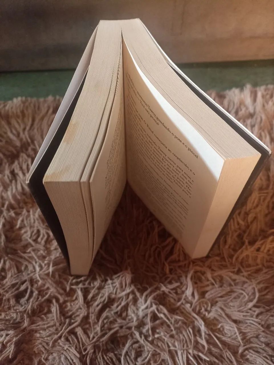 Livro De Sangue e Cinzas - Foto 3
