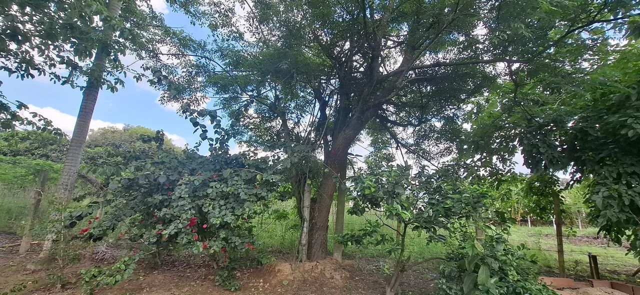 Rancho em condomínio fechado Araras - Foto 2