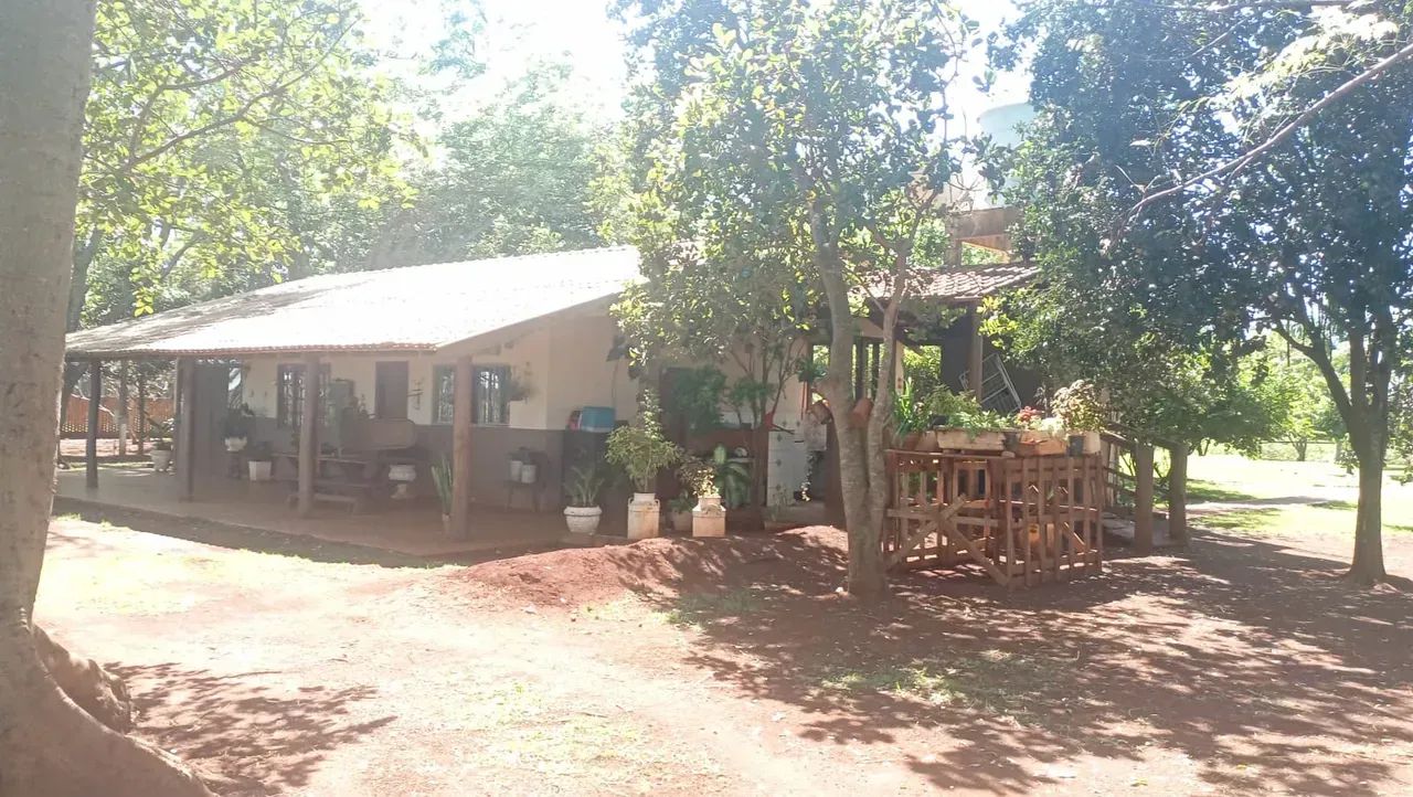 CÓD199  Chácara 10 ha | Indubrasil  Campo Grande/MS - Foto 5