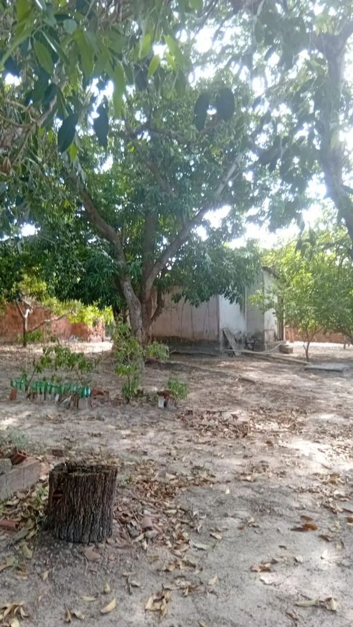 Vendo sítio com casa no horizonte bairro catu - Foto 2