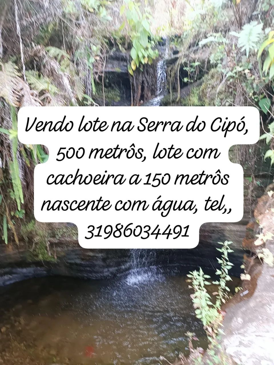 Foto - Santa Luzia - Asteca (São Benedito)