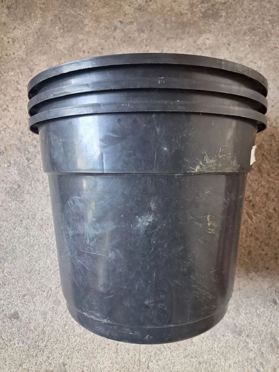 Vasos de plantas 