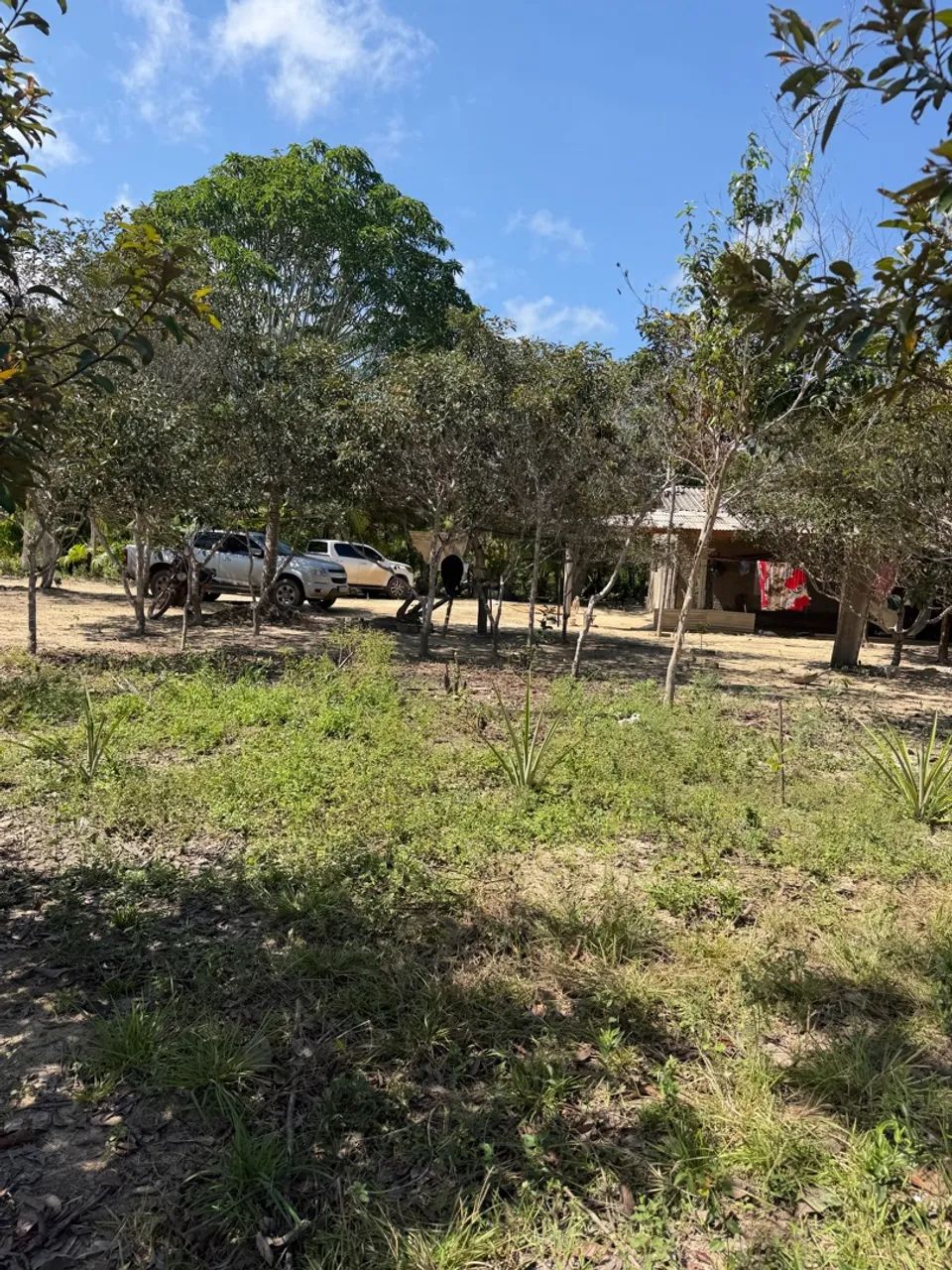 fazendinha barato no Cantá  - Foto 3