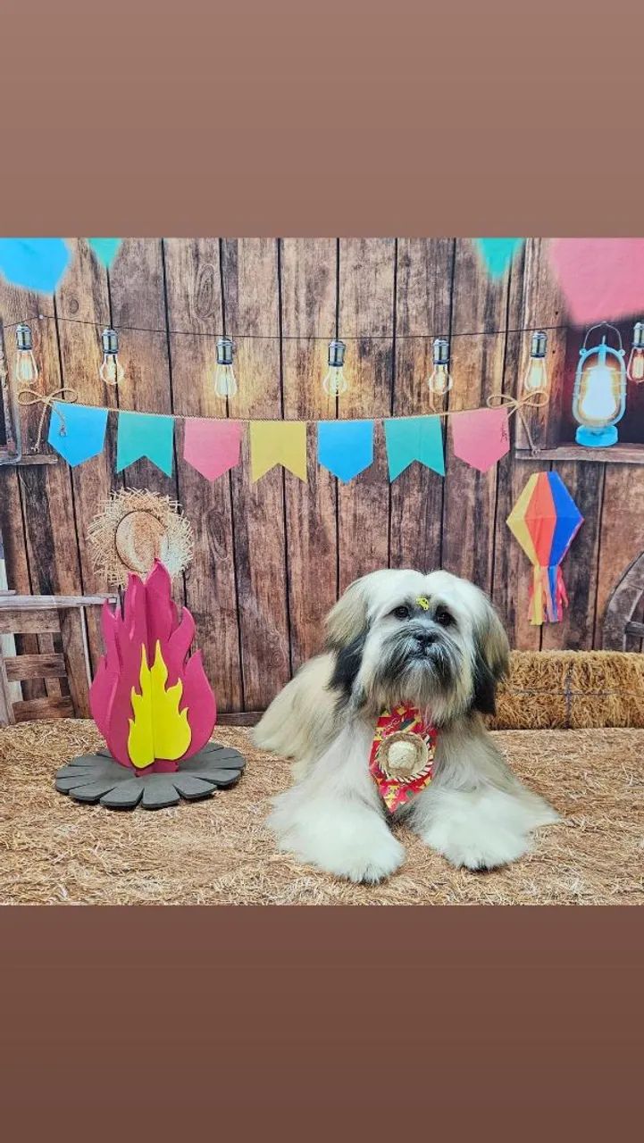 Um amigo