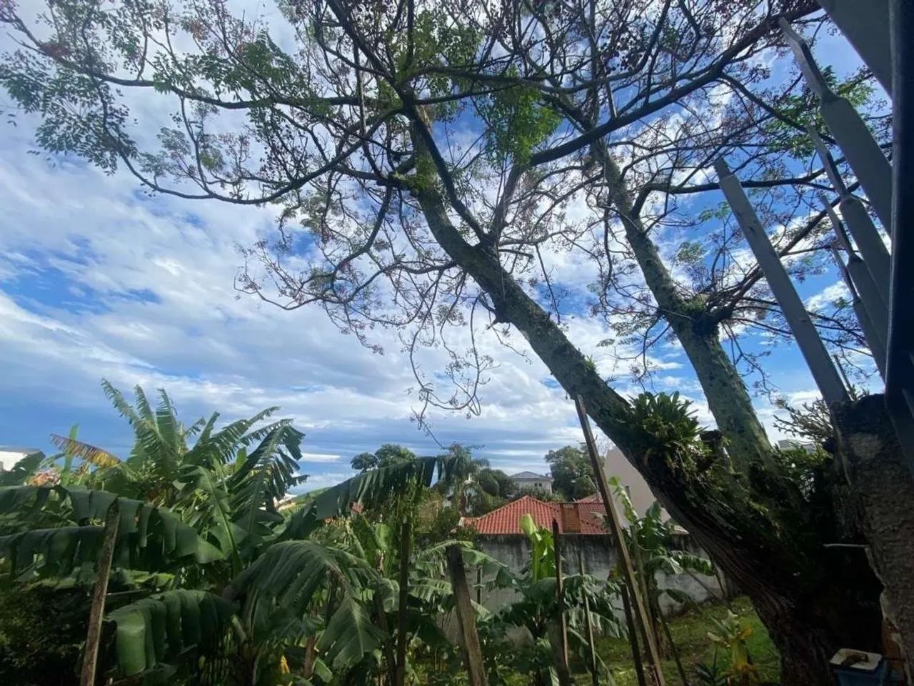 Terreno para Venda em Florianópolis, Bom Abrigo - Foto 3