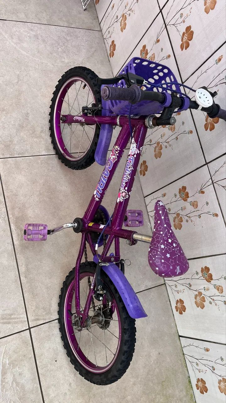 Bicicleta feminina infantil 