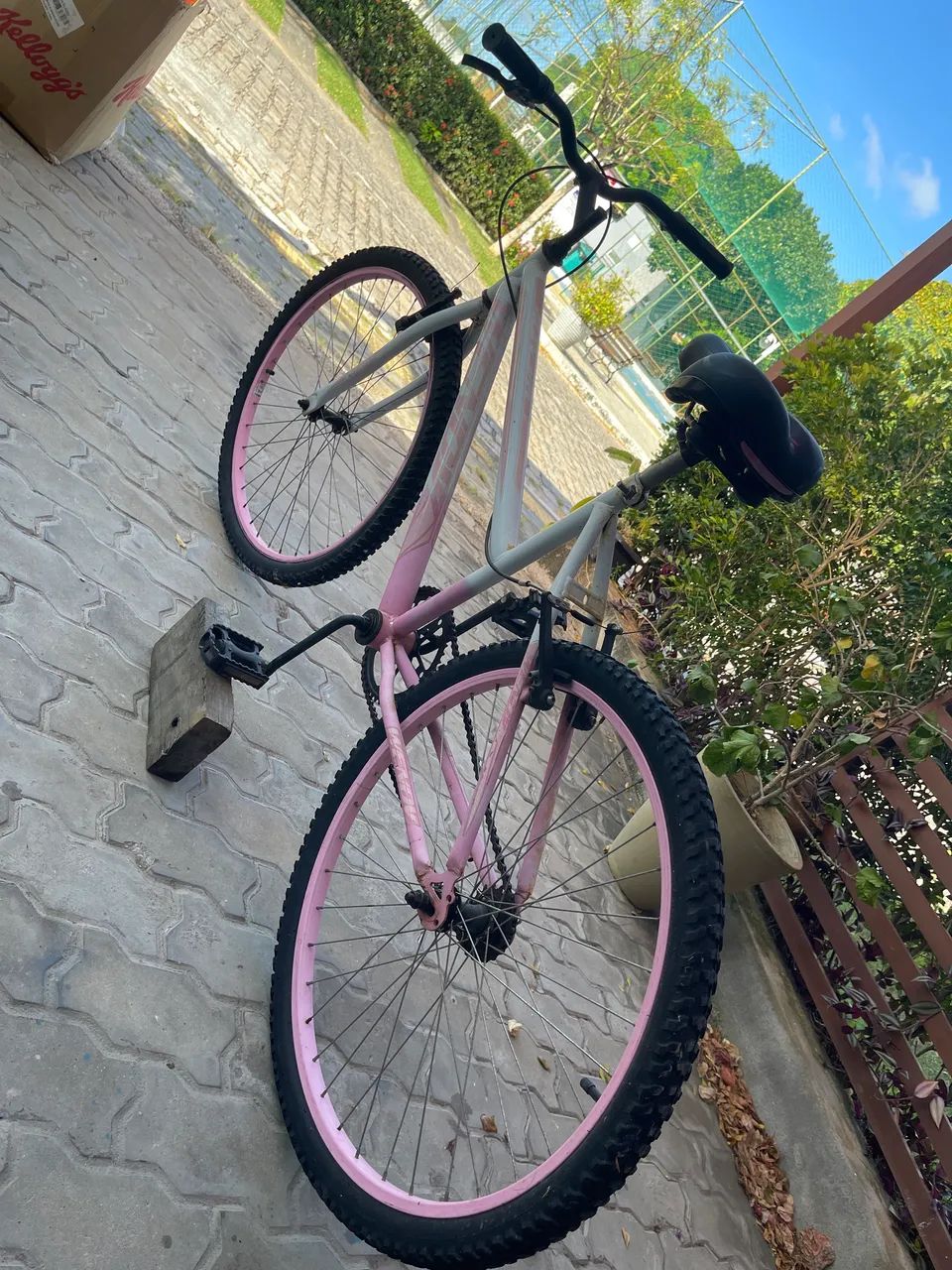 Bicicleta 