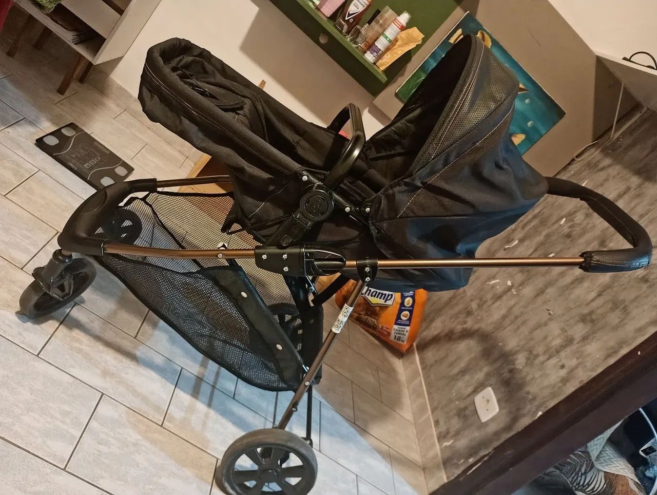 Carrinho + bebê conforto Galzerano 