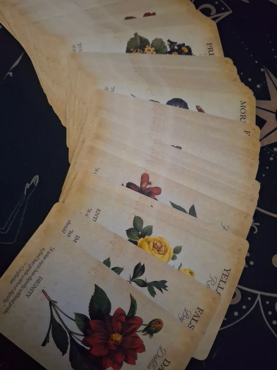Oráculo Botanical Inspirations Baralho Cigano Tarot Taro - Foto 4