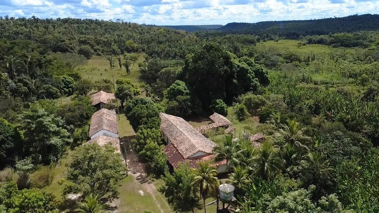 Fazenda 830 hectares 