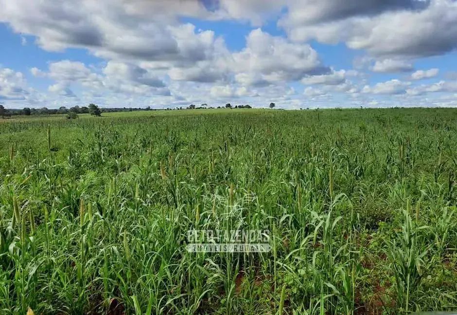 Imóvel para venda possui  metros quadrados em Zona Rural - Novo São Joaquim - MT - Foto 2
