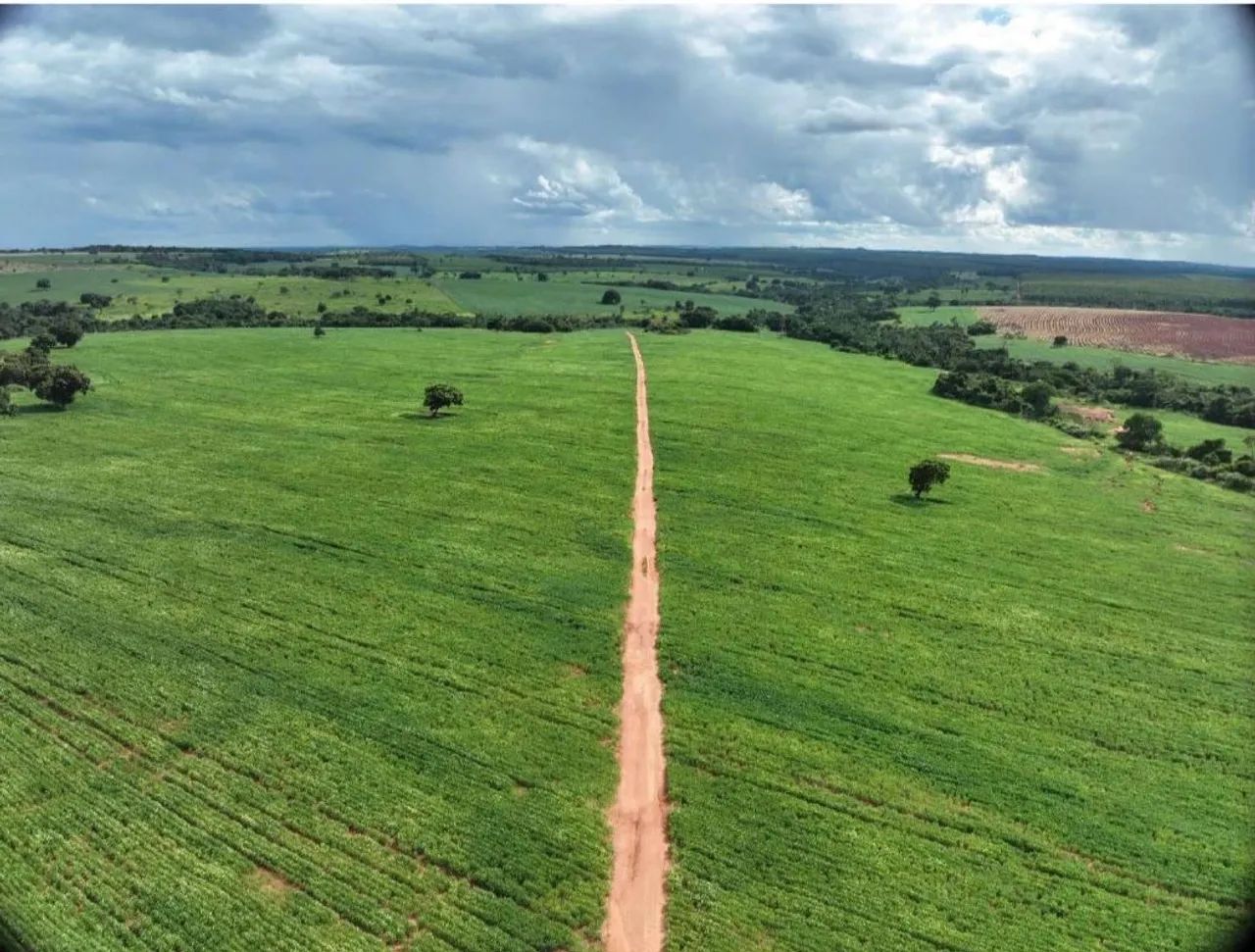 Fazenda no triângulo mineiro lavoura  - Foto 2