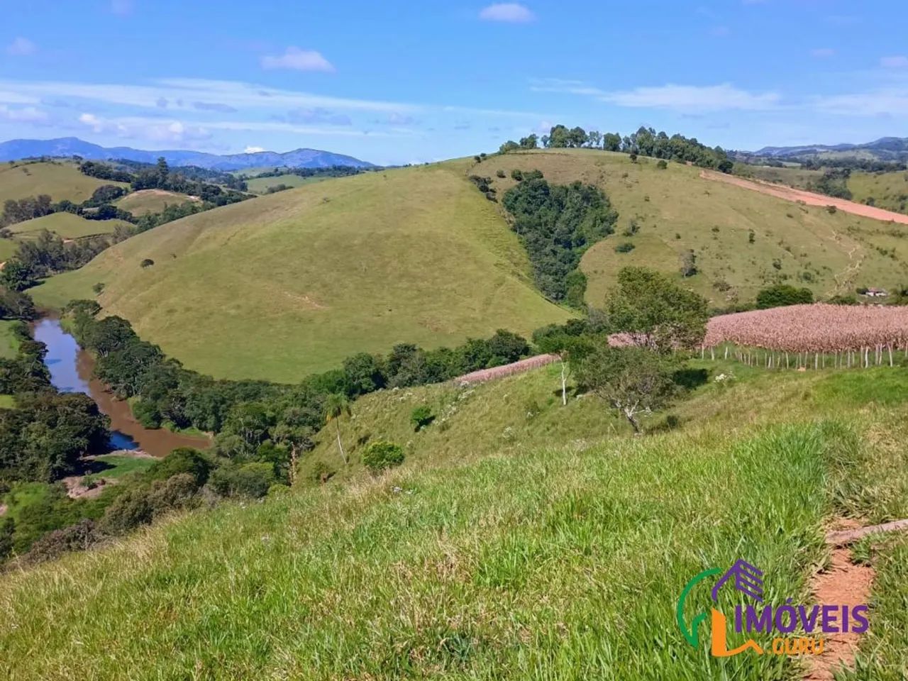 SÍTIO - SANTANA DE CALDAS - MG - Foto 4