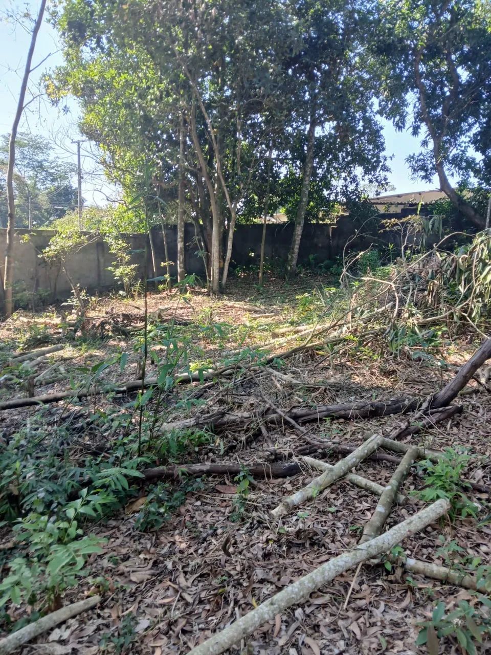 Oportunidade de aquisição de terreno - Foto 5