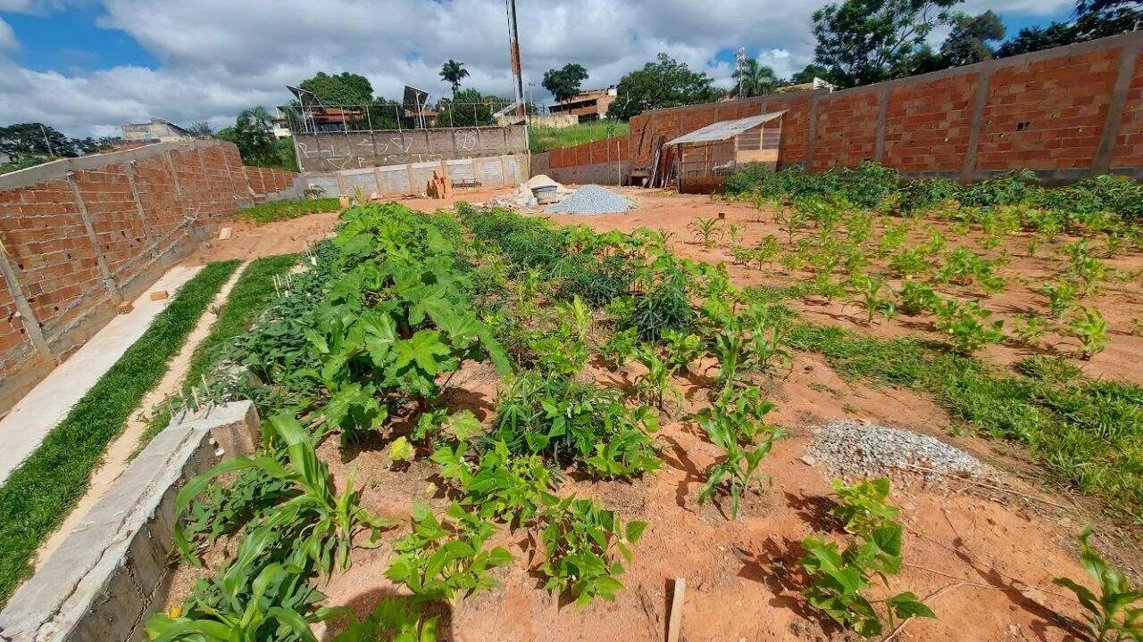 Lote com 1000 m² para venda - Braúnas - Foto 5