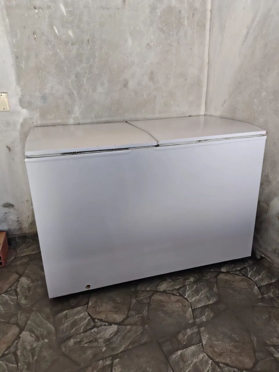 Freezer Electrolux 