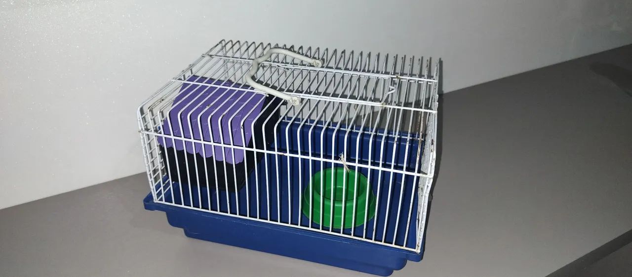 Gaiola tipo criadeira pequena 