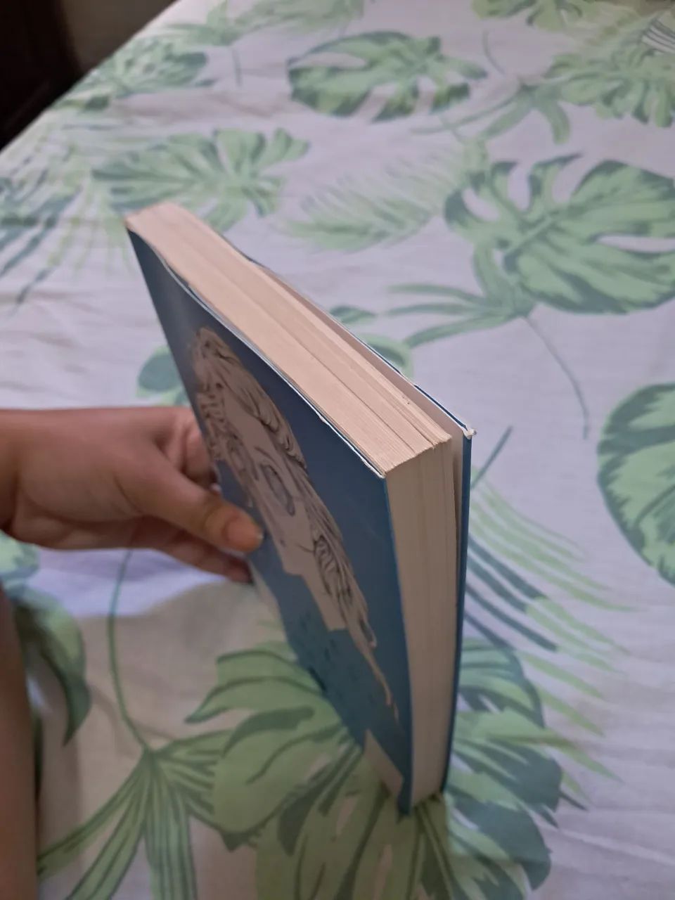 Livro usado - Foto 2