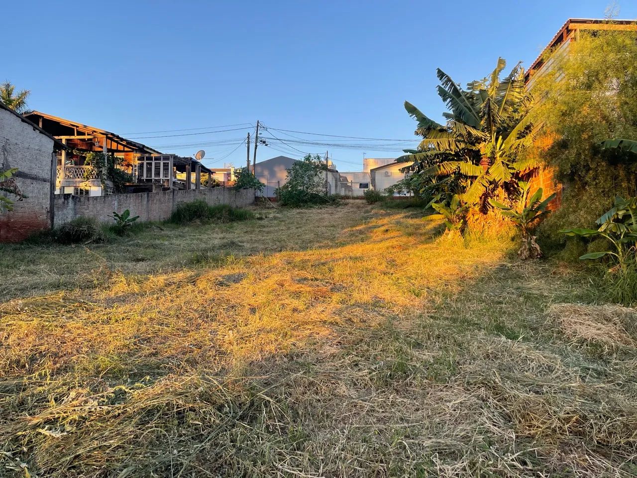 Terreno para plantar