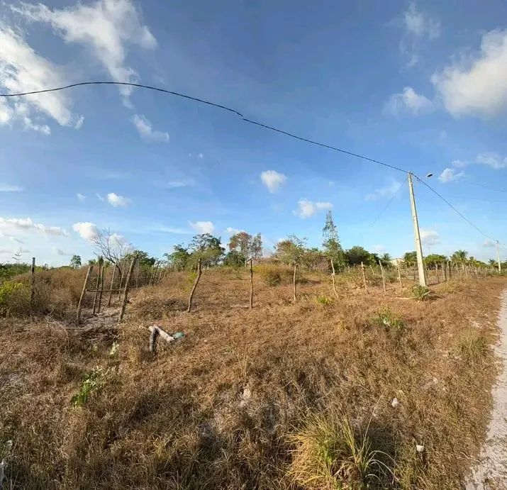 BHS Plot65153850689795120