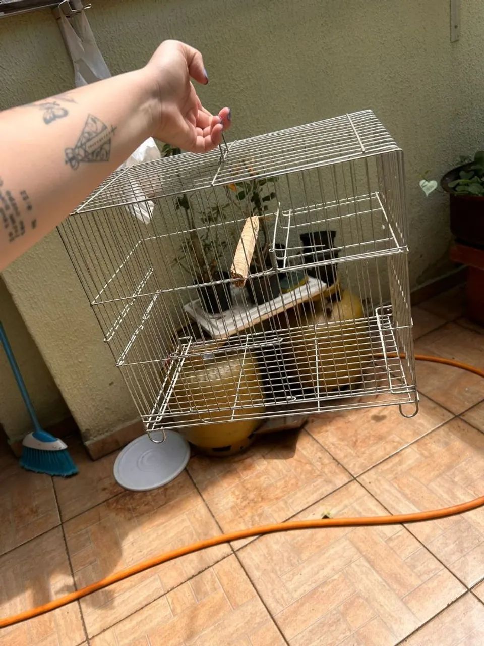 GAIOLA DE PASSARINHO 