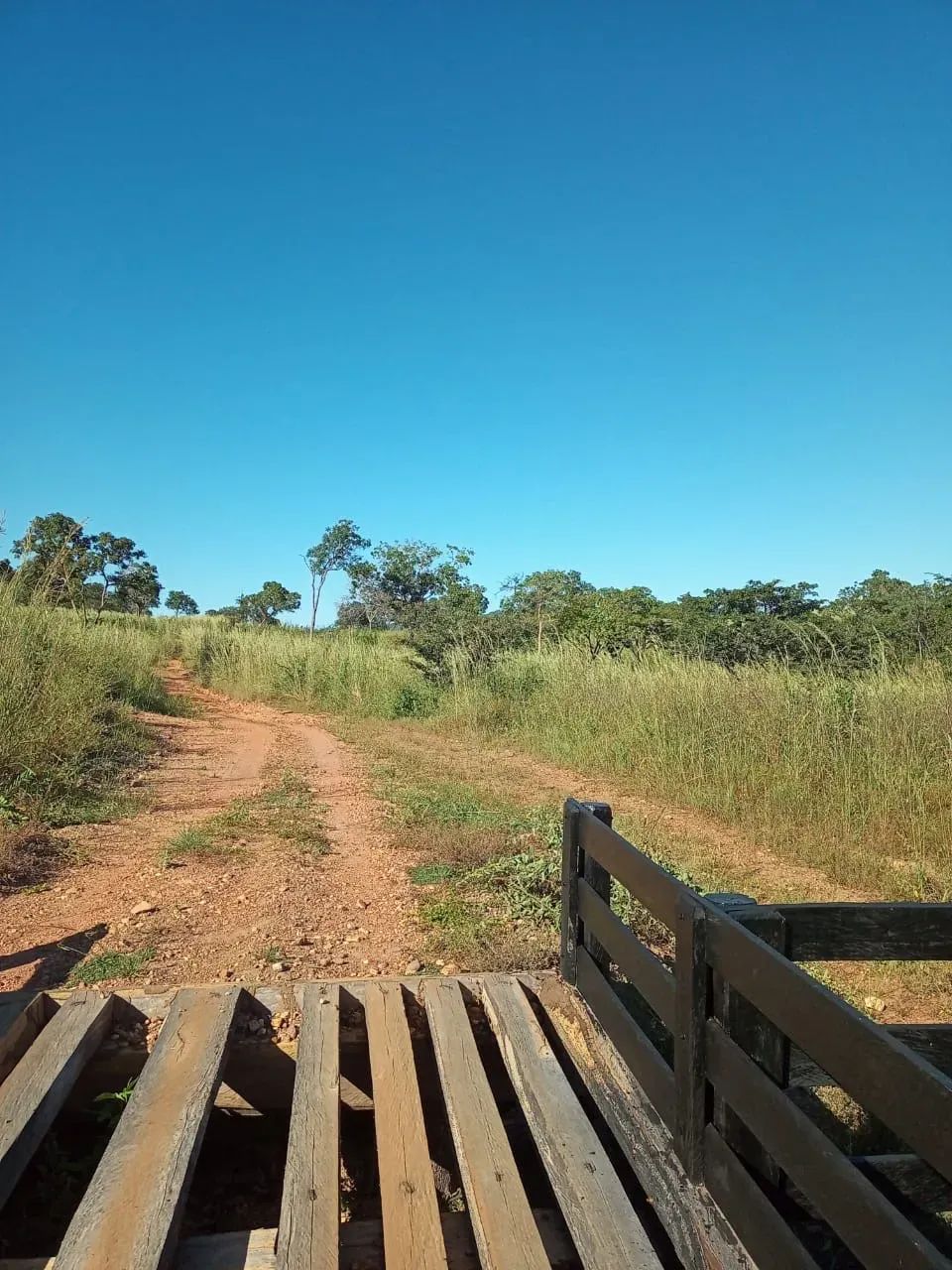 Terra Jaú Tocantins - Foto 4